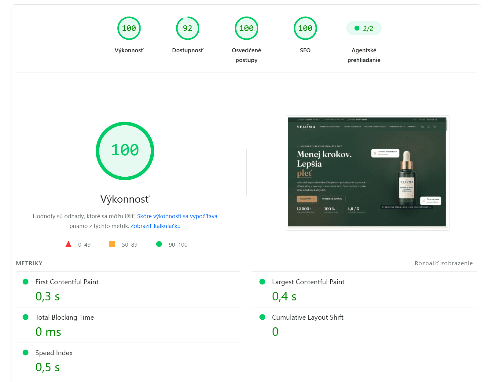 Výsledok Google PageSpeed Insights pre demo e-shop - Výkonnosť 100, SEO 100